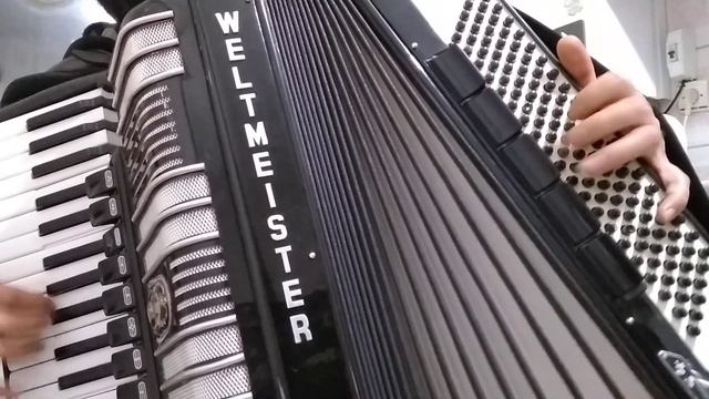 ibraim odza - weltmeister s4 - akordeon - accordion cover смотреть онлайн