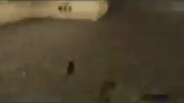 ДБГ РДМ ЭДИТ ВАЩЕ КРУТОЙ ПИПЕЦ КАПЕЦ ПРОСТО ВАЩЕ смотреть онлайн