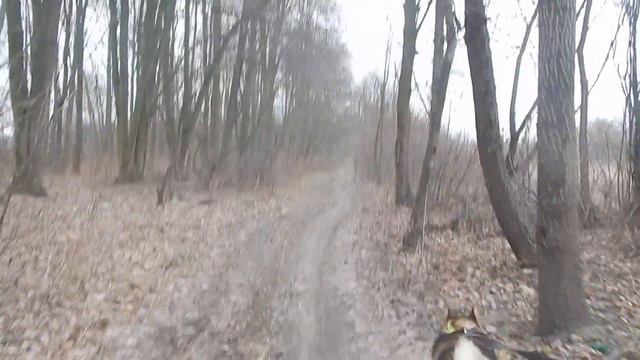 Реакція ЗСЛ Ай-Дара на кам'яну куницю... . смотреть онлайн