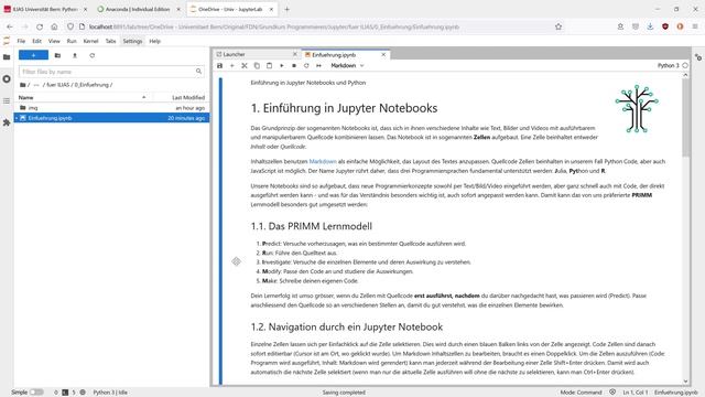 Grundkurs Programmieren - Einführung Jupyter Notebooks смотреть онлайн
