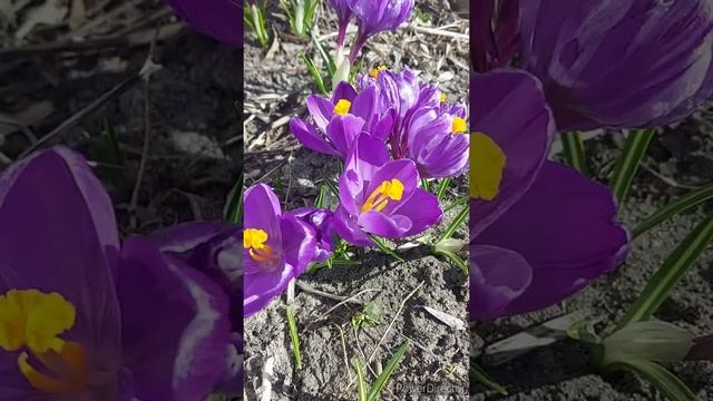 «Закладка – это не игра!» смотреть онлайн