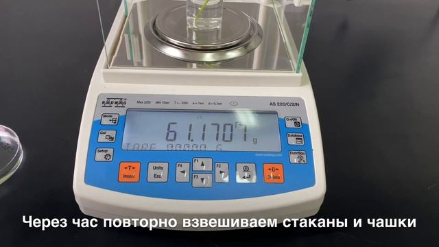 Определение интенсивности транспирации и относительной транспирации весовым методом смотреть онлайн