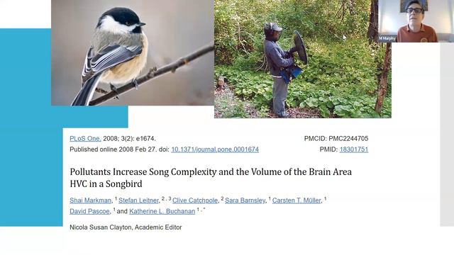 New Horizons: A Conversation with Professor Murphy смотреть онлайн