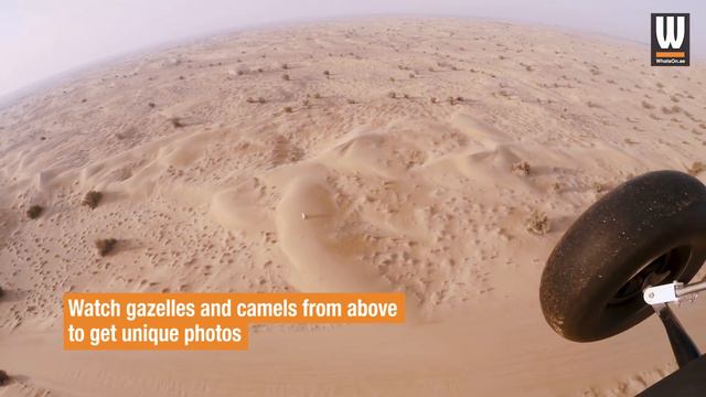This is what it’s like to go paramotoring above the desert смотреть онлайн