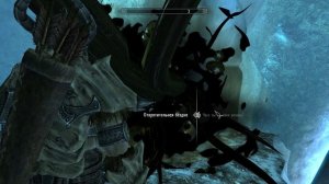 The Elder Scrolls V: Skyrim. Добыть кровь высокого эльфа. Прохождение от SAFa