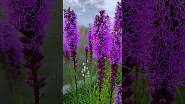 Где живет Бог? смотреть онлайн