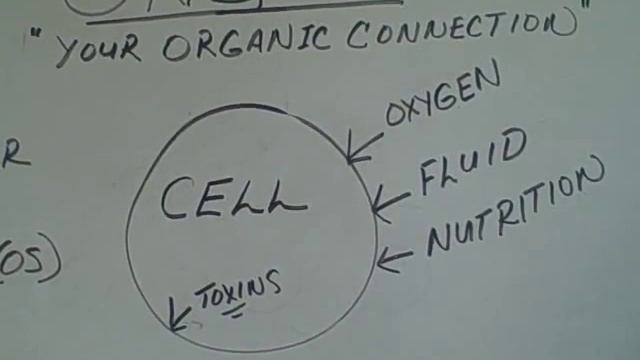Ty Best, "Why GND's Ultra MSM" смотреть онлайн
