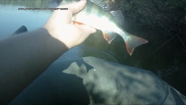 Вертушка " mepps" мой обзор и ловля на неё. смотреть онлайн