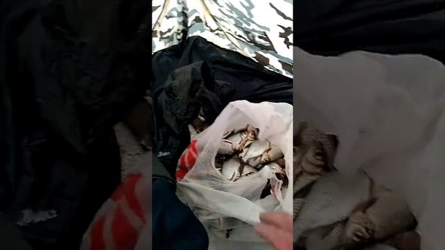 Рыбалка в хмелевке