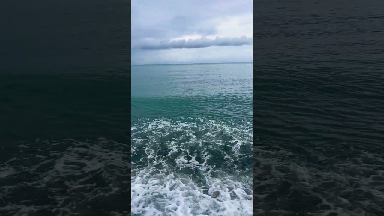 Зима в Сочи. Вардане сегодня. Море. #vlog #shorts смотреть онлайн