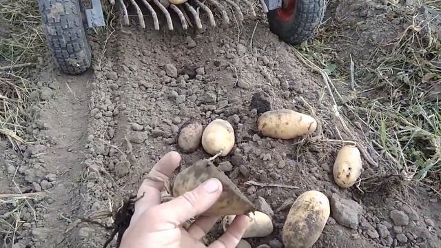 89# Врожай картоплі 2022 смотреть онлайн