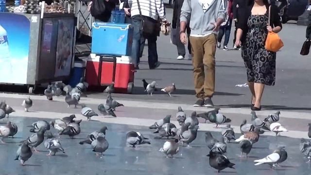 Площадь Каталонии - Барселона, Испания 2012 смотреть онлайн