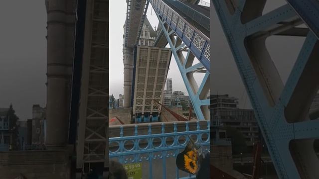 Развод Тауэр моста (Tower Bridge) смотреть онлайн