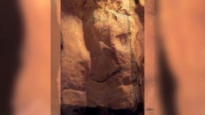 Сокровища пещеры Альтамира / Пещерная живопись древних людей