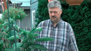 Выращивание цветов и овощей в горшках на улице