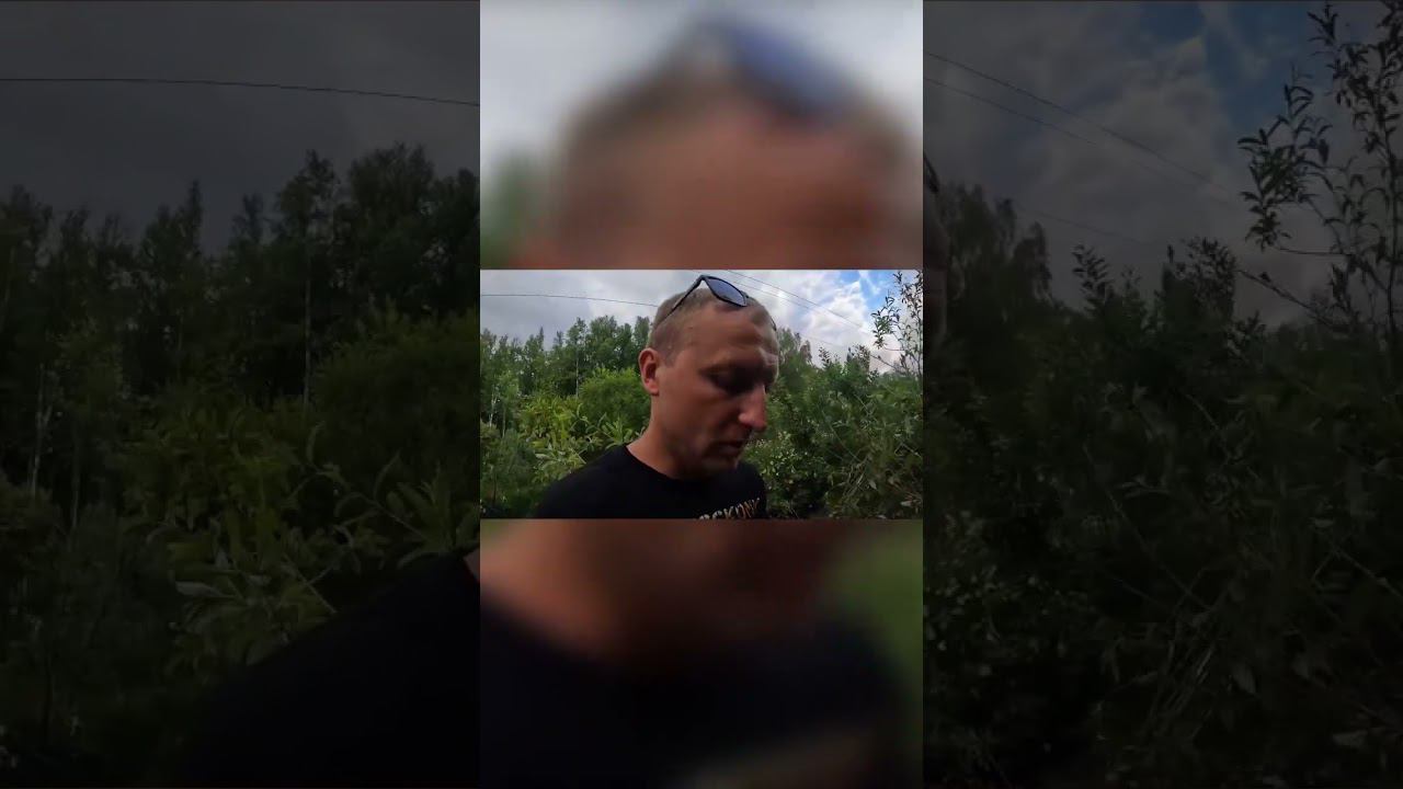 Эмоции #4x4 #offroad #shorts #НаДжипе #offroad4x4 #алтай4х4 смотреть онлайн