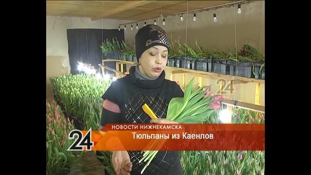 Семейная пара из Каенлов превратила свое хобби в бизнес смотреть онлайн