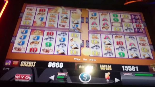 Wonder 4 buffalo super games bonus with retrigger nice win смотреть онлайн
