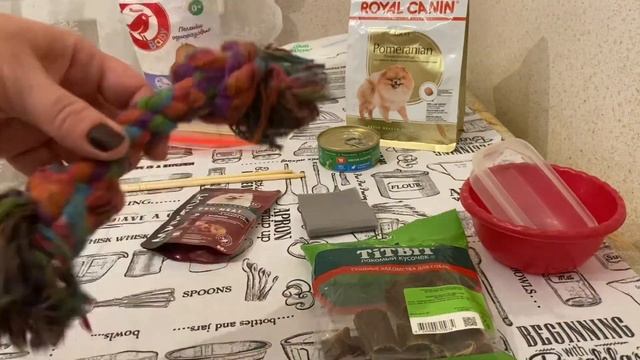 # 1. С собакой на поезде /Что нужно взять в дорогу / Мурманск 2023 смотреть онлайн