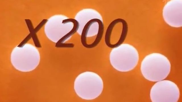 Среда обитания. Ноль калорий смотреть онлайн