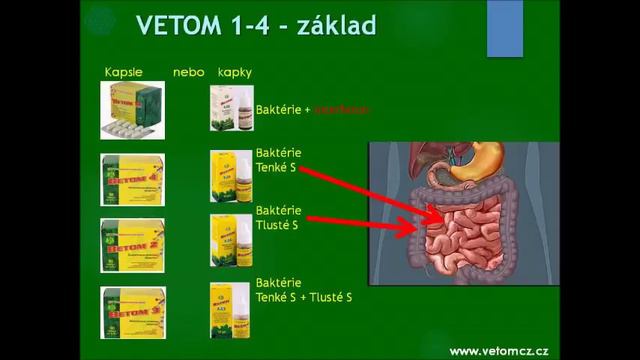 VETOM PREZENTACE www vetomcz cz UZI смотреть онлайн