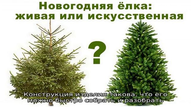 Какая елка лучше — искусственная или живая? смотреть онлайн