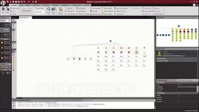 Maltego поверхностный гайд по программе. смотреть онлайн