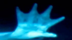 Исследователи засняли человекоподобное существо на километровой глубине в океане