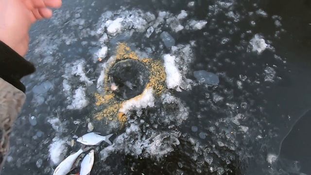 Зимняя рыбалка в Астрахани! БЕШЕНЫЙ КЛЕВ МИРНОЙ РЫБЫ. Ловля окуня на льду. смотреть онлайн