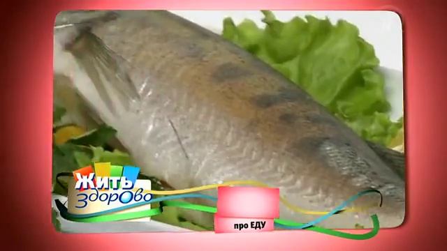 Судак -- речной тигр смотреть онлайн