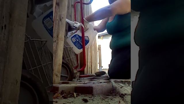 My Little Helper Project - Part 1 смотреть онлайн