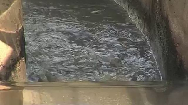 Как чистят сточные воды смотреть онлайн