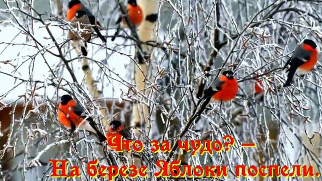 13.12.2023 доброе утро смотреть онлайн