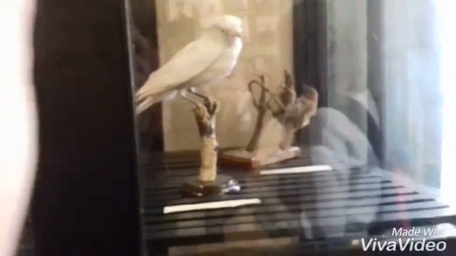 Поездка в Екатеринбург смотреть онлайн