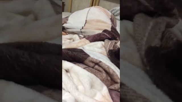 Мама спит она устала но и я играть не стал ! смотреть онлайн