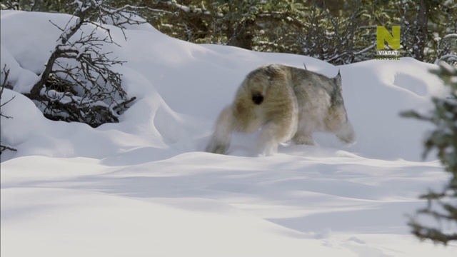 4. смотреть онлайн