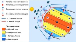"Пояса планеты", §7 География 7 класс ч.1, Домогацких.