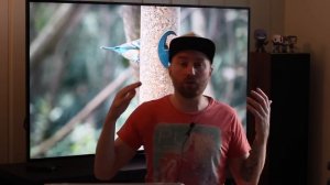 Телевизор для консоли PS4 PS4 Pro Xbox one X Как выбрать Что брать?