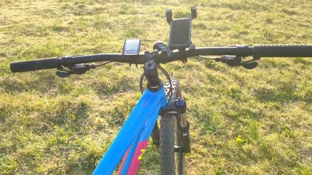 MARIN Bobcat Trail 3 29" 2020 MTB hardtail смотреть онлайн