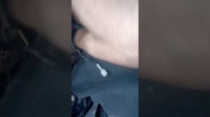 Не крутит стартер, не заводиться с ключа, ваз 2115, 2114