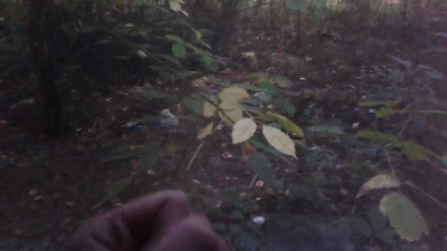 Как ломать стекло? смотреть онлайн