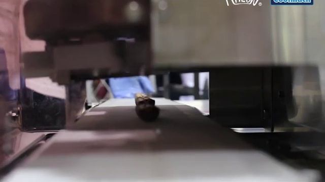 Rheon strawberry Tart Production смотреть онлайн