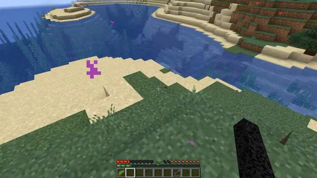 Перевоплощение в майнкрафте