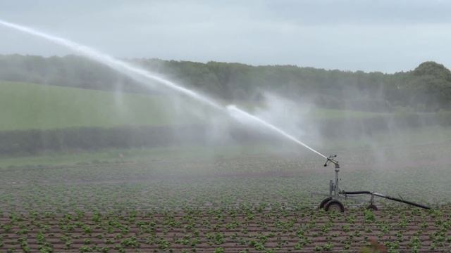 Sony Cybershot HX9v Full HD Sample Video смотреть онлайн