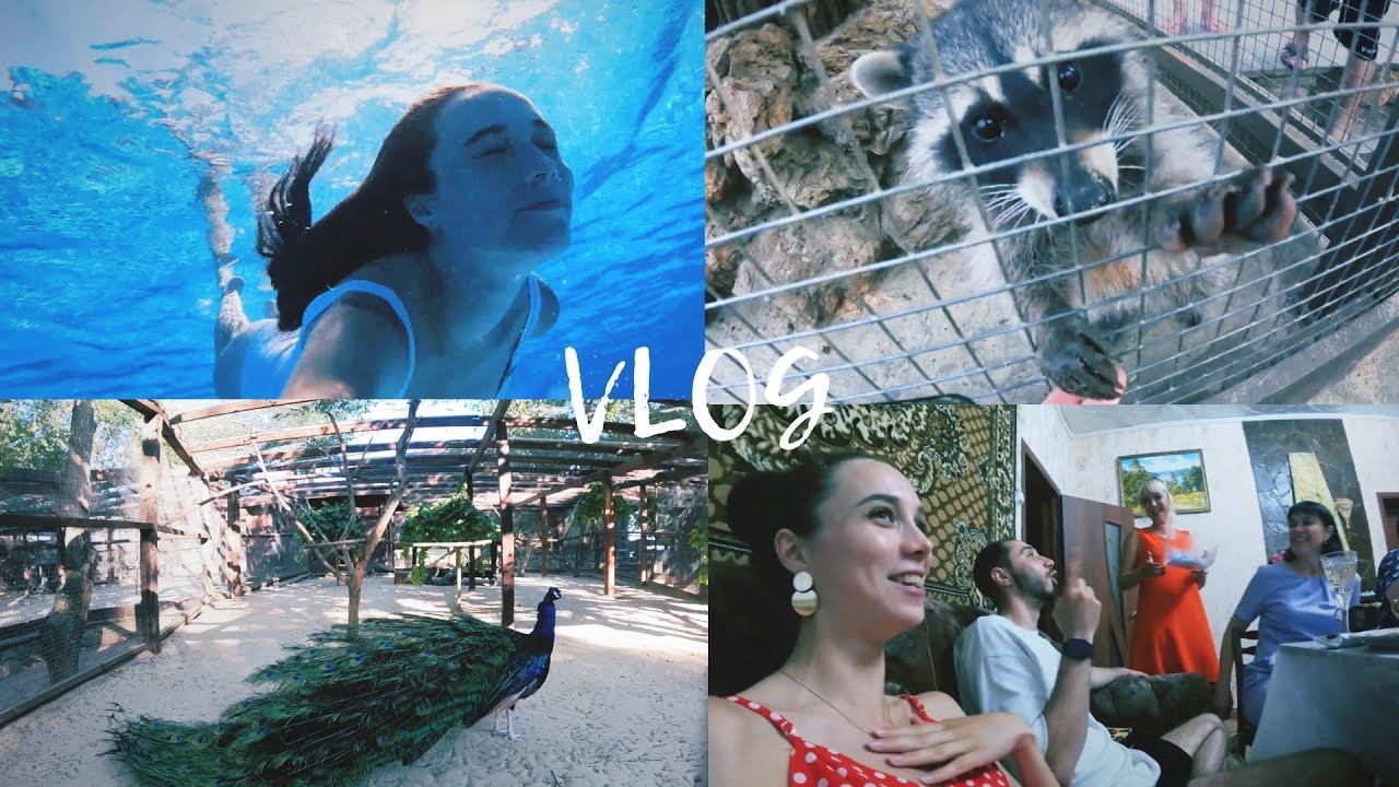 VLOG: КАМЕНСК-ШАХТИНСКИЙ, БАЗА ОТДЫХА ВЕНЕЦИЯ, ПАРК ЛОГА, ОБЗОР, ВСТРЕЧА С РОДСТВЕННИКАМИ смотреть онлайн