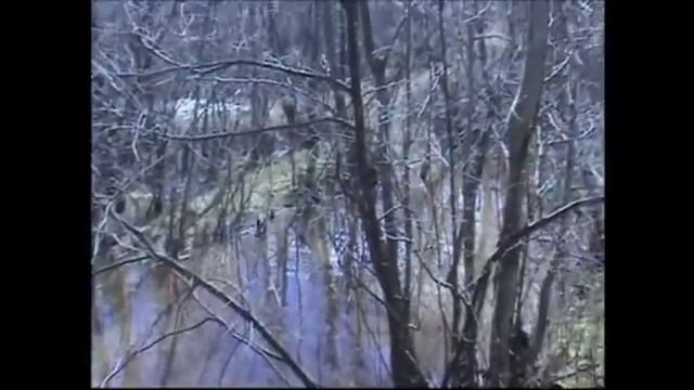 Рыбалка в Половодье - Река Вельгия - Жизнь в Деревне смотреть онлайн