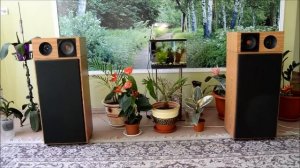 Трех полосная акустика на базе Радиотех. С70