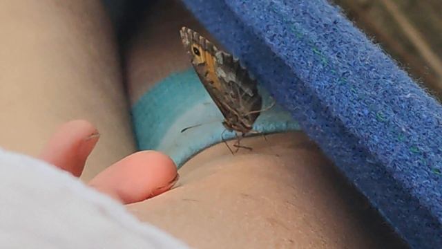 🦋 Маленькая страна там 😉 где всегда весна🍀 смотреть онлайн