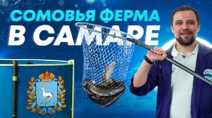 Рыбоводная Ферма Африканского Сома в Самаре – Обзор Готового Бизнеса на УЗВ