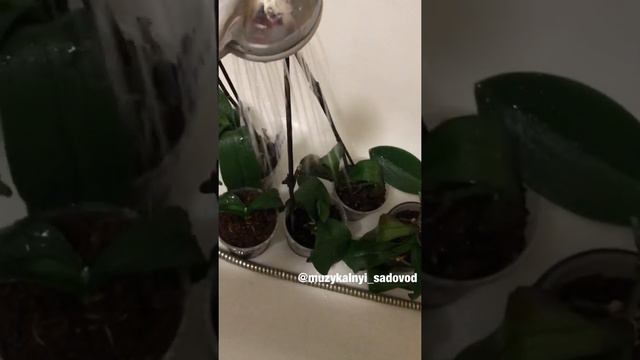 22 февраля 2020 г. смотреть онлайн